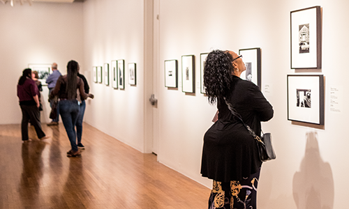 Visitors explore a special exhibition